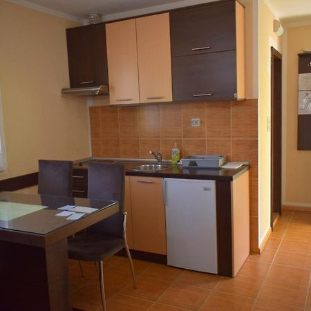 Apartmani Radoicic Josanicka Banja Екстер'єр фото