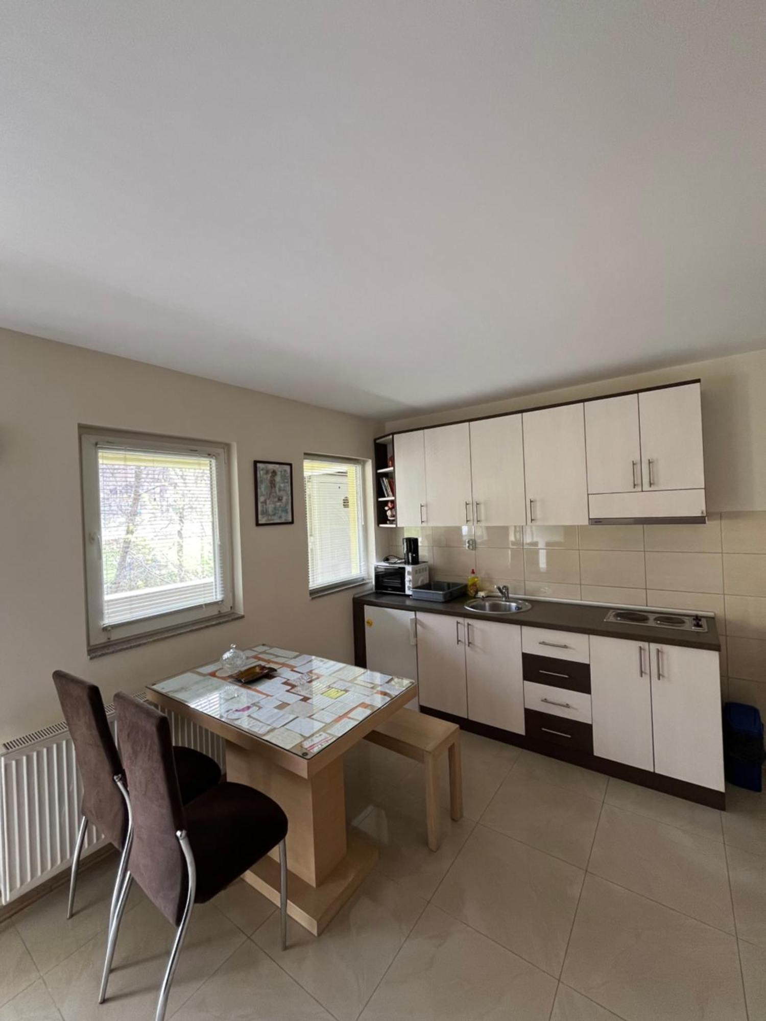 Apartmani Radoicic Josanicka Banja Екстер'єр фото
